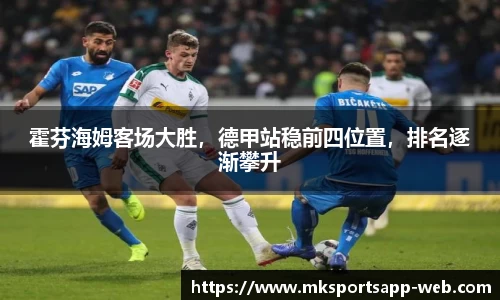 MK体育app
